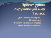 Проект урока по Окружающему миру Белые медведи
