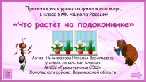 Презентация 8 урока по окружающему миру для 1 класса Что растёт на подоконнике УМК Школа России