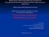 Презентация по экологическому воспитанию дошкольников Дикие животные Нижегородского Края