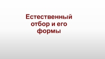 Презентация по биологии на тему: Естественный отбор (11 класс).