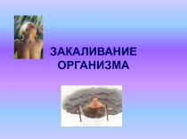 Закаливание организма
