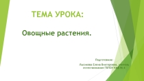 Презентация по естествознанию на тему Овощные растения, 7 класс (для обучающихся с легкой и умеренной умственной отсталостью (интеллектуальными нарушениями))