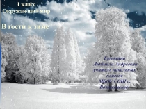В гости к зиме