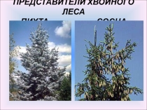 Презентация по окружающему миру 2 часть (4 класс)