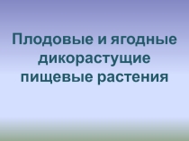 Презентация по краеведению по теме: Плодовые и ягодные дикорастущие пищевые растения Сахалинской области
