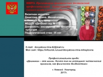 Создание развивающей предметно- пространственной среды для игр с элементами спорта в образовательной деятельности по физическому развитию