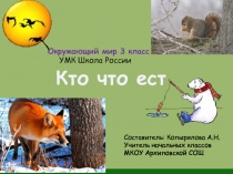 Презентация по окружающему миру Кто что ест