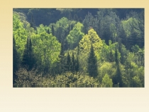 Презентация к уроку по окружающему миру Символы государства