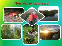 Развлекательно - познавательная игра Берегите природу
