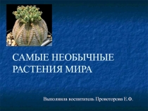 Самые необычные растения мира