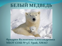 Презентация по окружающему миру Белый медведь