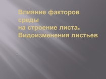Презентация по биологии на тему Влияние факторов среды на строение листа. Видоизменения листьев.