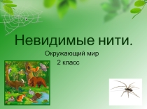 Что такое нивидимые нити?