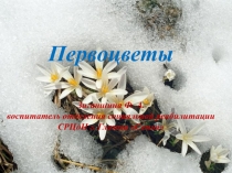 Первоцветы