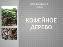 Презентация по окружающему миру на тему Растениеводство 3 класс