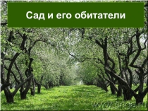 Презентация по окружающему миру на тему: Сад. Животные садов (4 класс)
