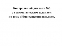 Контрольный диктант №3 с грамматическим заданием по теме Имя существительное.