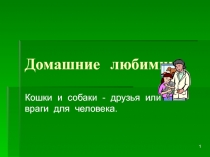Презентация по природе Домашние любимцы
