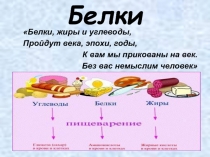 Презентация по химии Белки и их свойства!