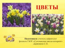 Презентация по РСВ и ФП на тему Цветы
