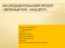 Исследовательский проект на тему  Наш друг- зеленый лук