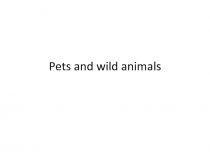 Презентация по английскому языку 2 класс spotlight на тему Домашние и дикие животные