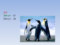 Презентация Изменения в составе ядер атомов химических элементов. Изотопы .