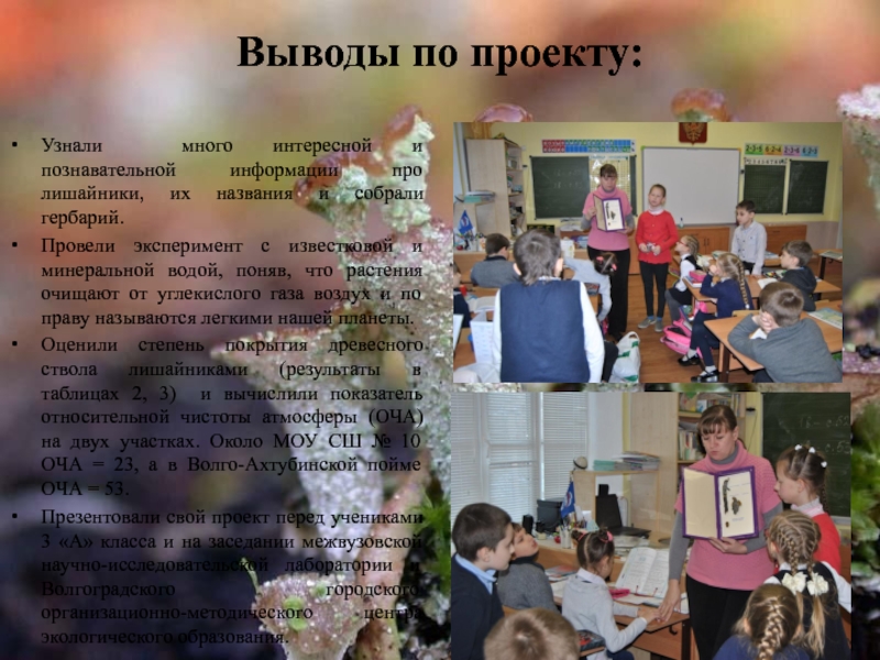 Презентация к исследовательской работе Оценка загрязнения воздуха методом лихеноиндикации Выводы по проекту:Узнали много интересной и познавательной информации про лишайники, их Выводы по проекту:Узнали много интересной и познавательной информации про лишайники, их названия и собрали гербарий. Провели