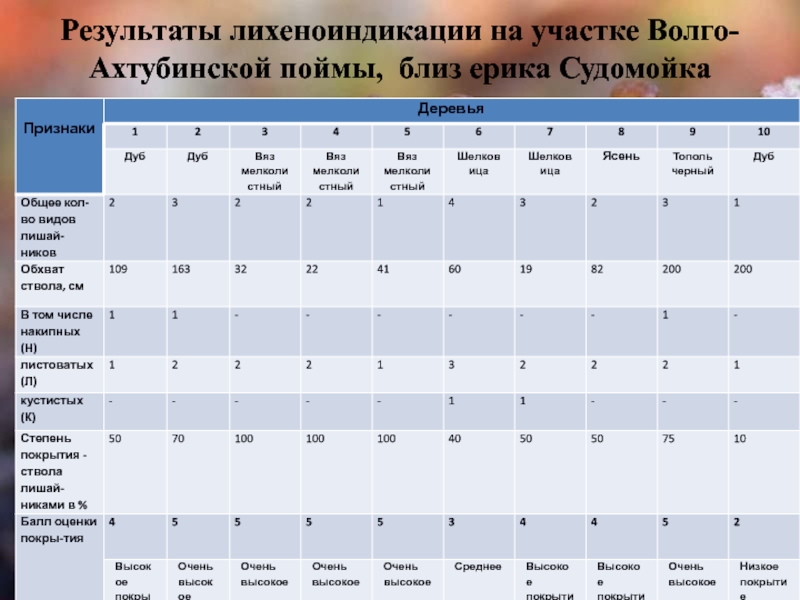Презентация к исследовательской работе Оценка загрязнения воздуха методом лихеноиндикации Результаты лихеноиндикации на участке Волго-Ахтубинской поймы, близ ерика Судомойка Результаты лихеноиндикации на участке Волго-Ахтубинской поймы, близ ерика Судомойка