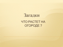 Презентация Загадки об овощах