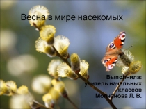 Презентация к уроку Весна в мире насекомых
