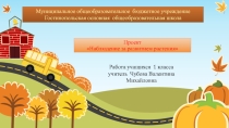 Наблюдение за развитием растения