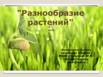 Презентация по окружающему миру на тему Разнообразие растений (3 класс)