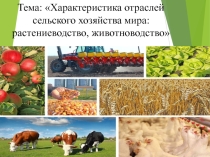 Презентация по географии на тему География сельского хозяйства(10-11класс)