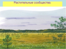Презентация по биологии Растительные сообщества