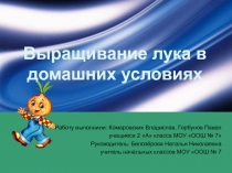 Исследовательская работа ВЫращивание лука в домашних условиях