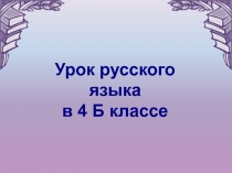 Презентация Склонение имен существительных