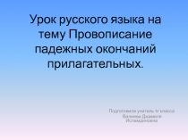 Провописание падежных окончаний прилагательных.