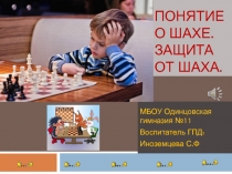 Презентация по внеурочной деятельности Шахматная азбука1 класс Понятие о шахе