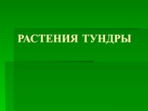 Презентация по окружающему миру на тему Растения тундры