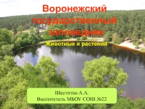 Методическая разработка мероприятия презентация на тему : Воронежский заповедник