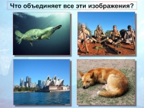 Презентация по теме Путешествие по Антарктиде (5 класс)