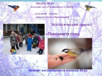 Экологический проект Покормите птиц зимой!