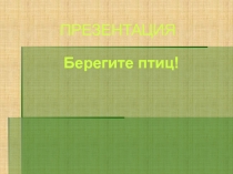 Презентация по окружающему миру на тему :Берегите птиц!