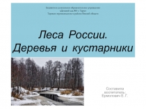 Презентация Леса России. Деревья и кустарники лесов России.