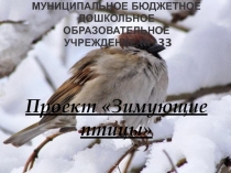 Презентация -проект на тему: зимующие птицы