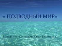 Подводный мир