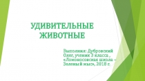 Презентация по исследовательской работе на тему  Удивительные животные. (3 класс)