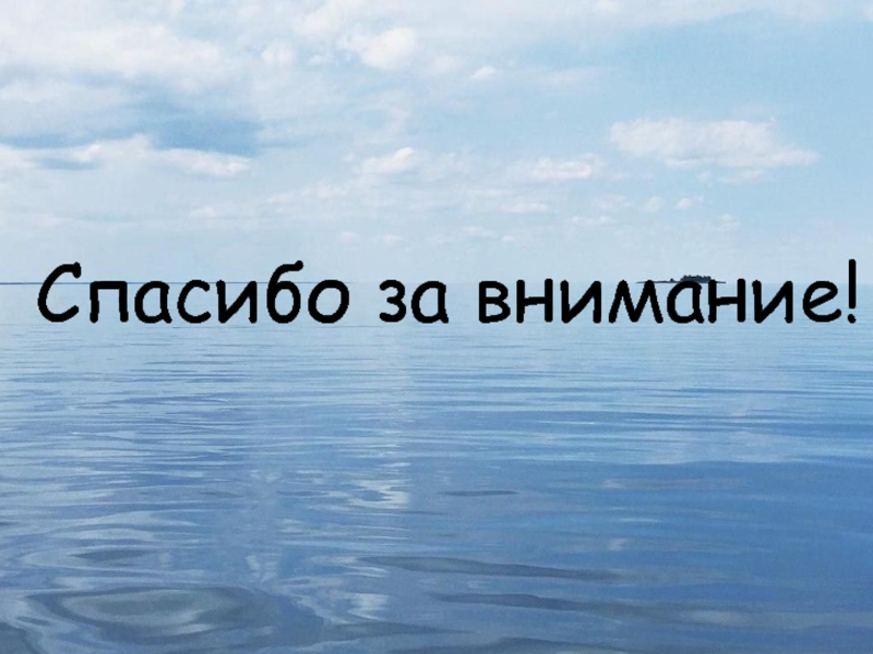 Математика в фотографии. Номинация Математика в моей будущей профессии Спасибо за внимание! Спасибо за внимание!