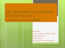 Эксперимент - наблюдение за ростом лука.